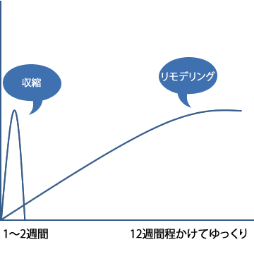 GFR 2つの効果のグラフ